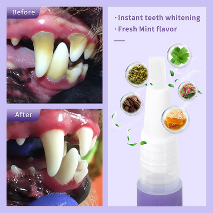 🌈Vitalisys® Pet Oral Repair Gel--Remove stains, Tartar and Calculus--Safe and Edible