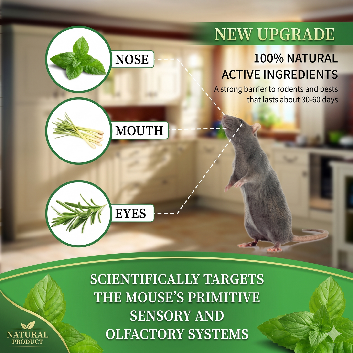 🐁Peppermint Pest Repellent Balls - Mice Rats Spiders Gone!--Safe For Pets