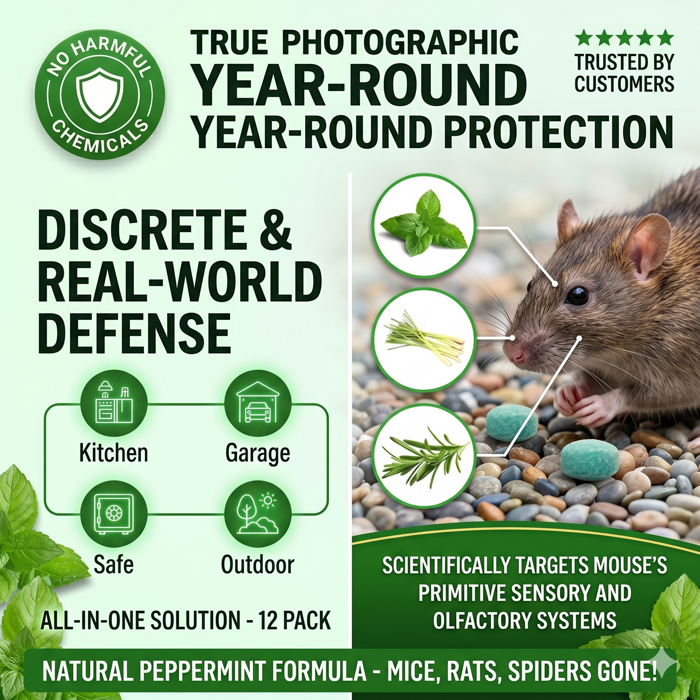 🐁Peppermint Pest Repellent Balls - Mice Rats Spiders Gone!--Safe For Pets